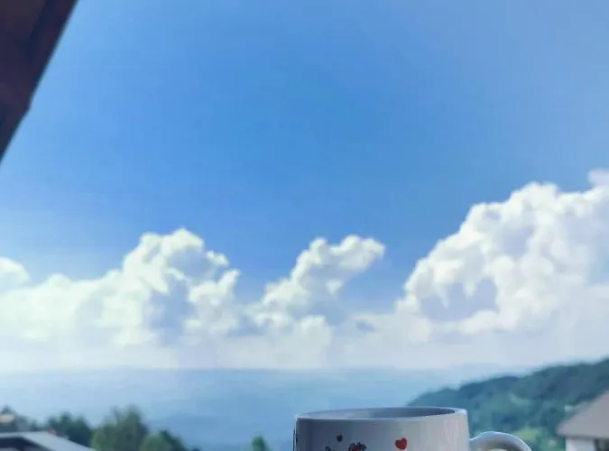 Daire Milmari Friends&family